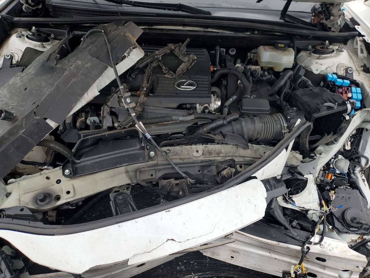 2023 LEXS ES 300H F SPORT HANDLING photo 11