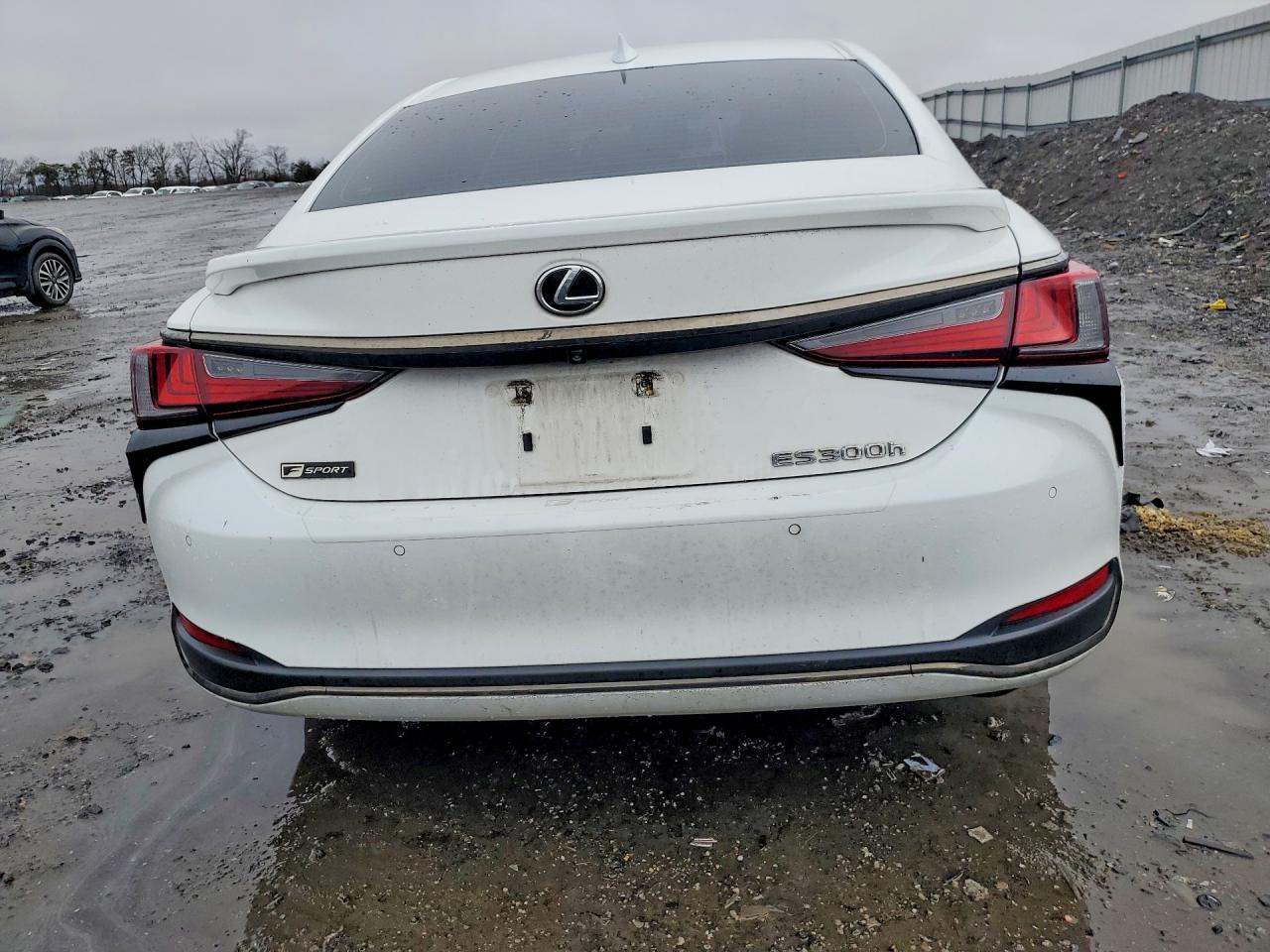 2023 LEXS ES 300H F SPORT HANDLING photo 6