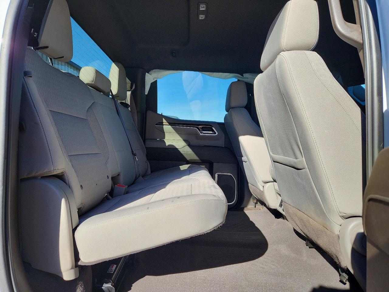 2023 CHEVROLET SILVERADO K1500 RST photo 19