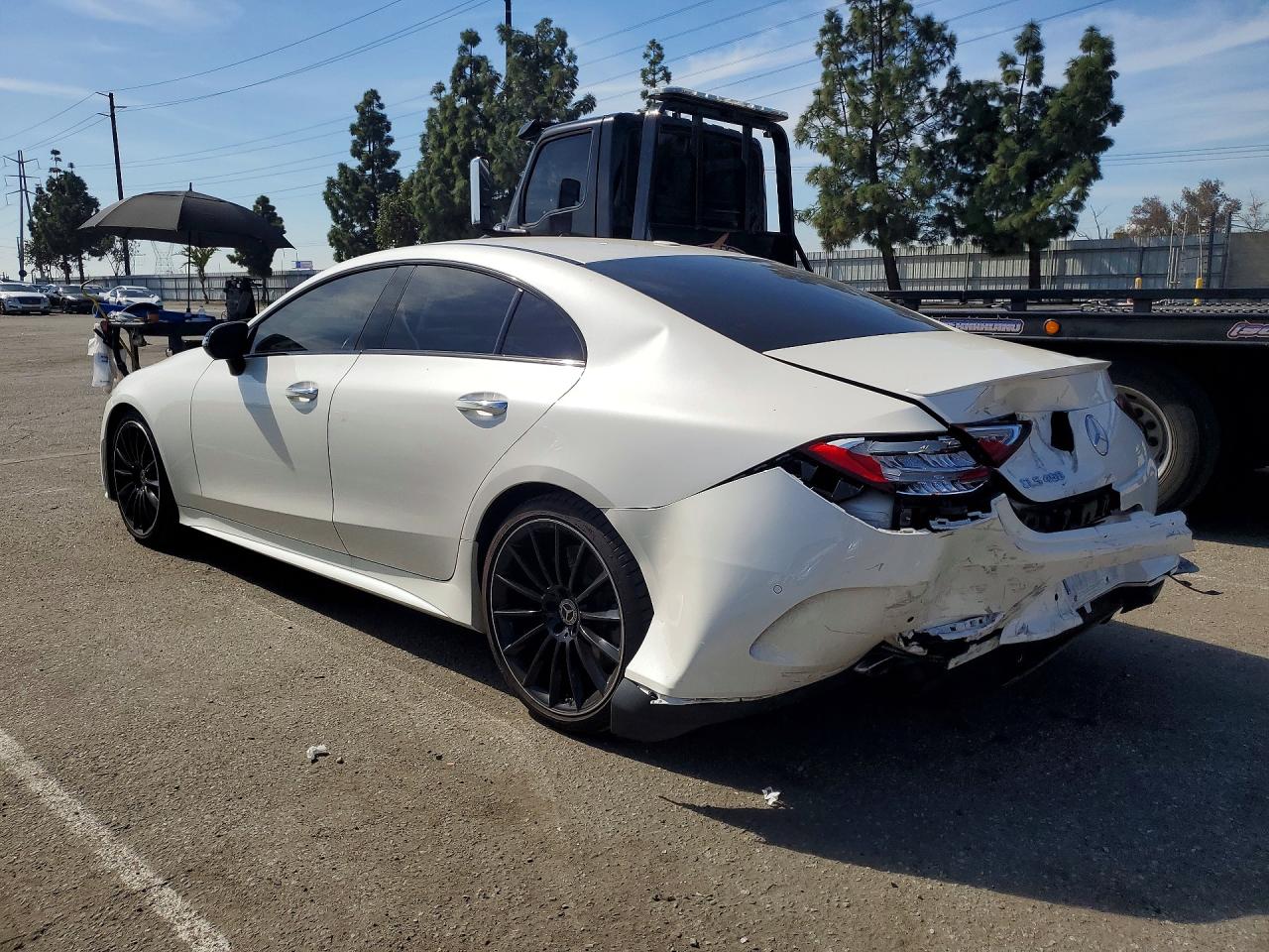 2020 MERCEDES-BENZ CLS 450 photo 3