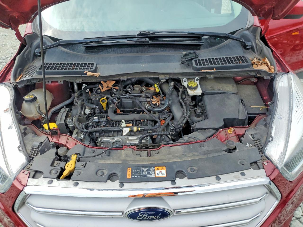 2019 FORD ESCAPE SEL photo 12
