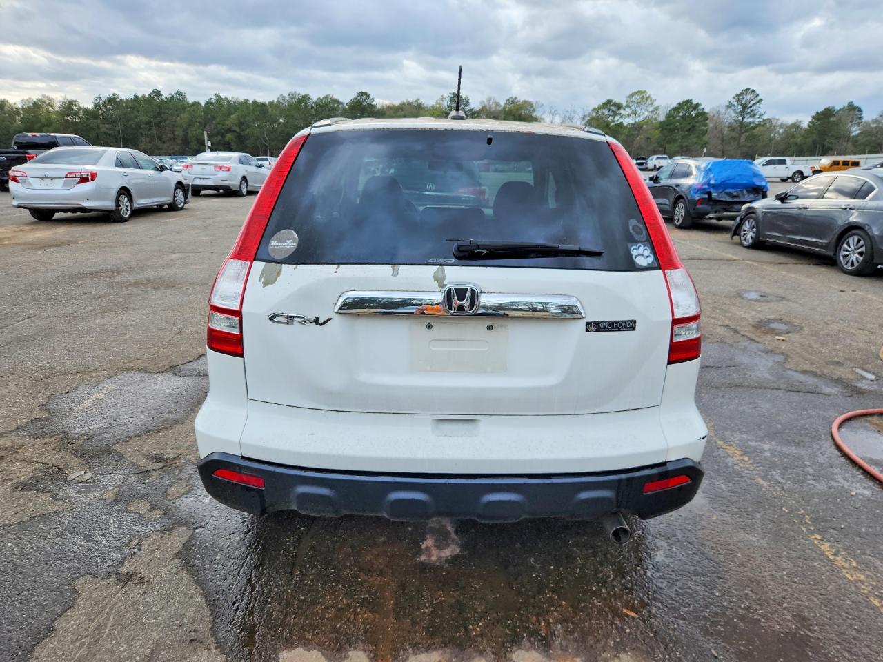 2008 HONDA CR-V EXL photo 6