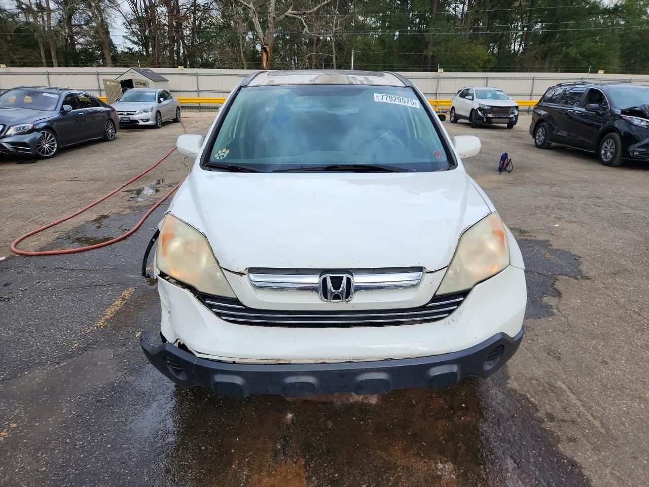 2008 HONDA CR-V EXL photo 5