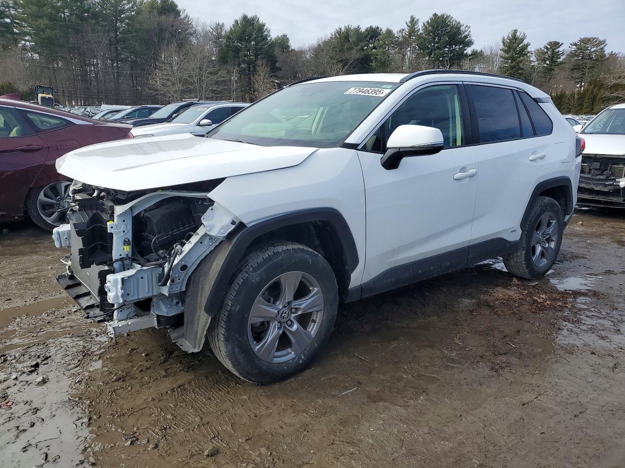2024 TOYOTA RAV4