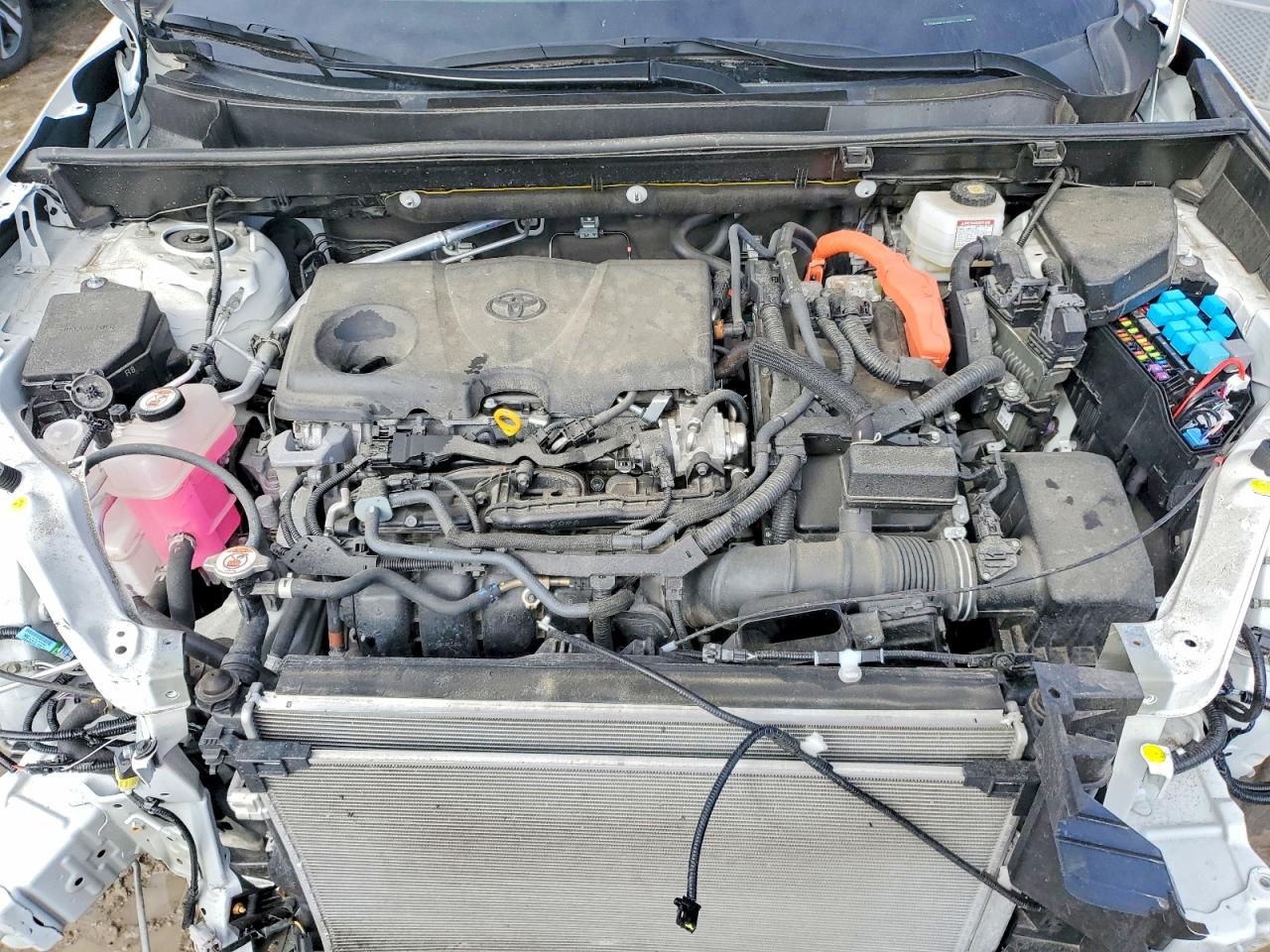 2024 TOYOTA RAV4 XLE photo 12