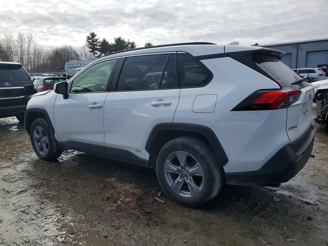 2024 TOYOTA RAV4 XLE photo 2