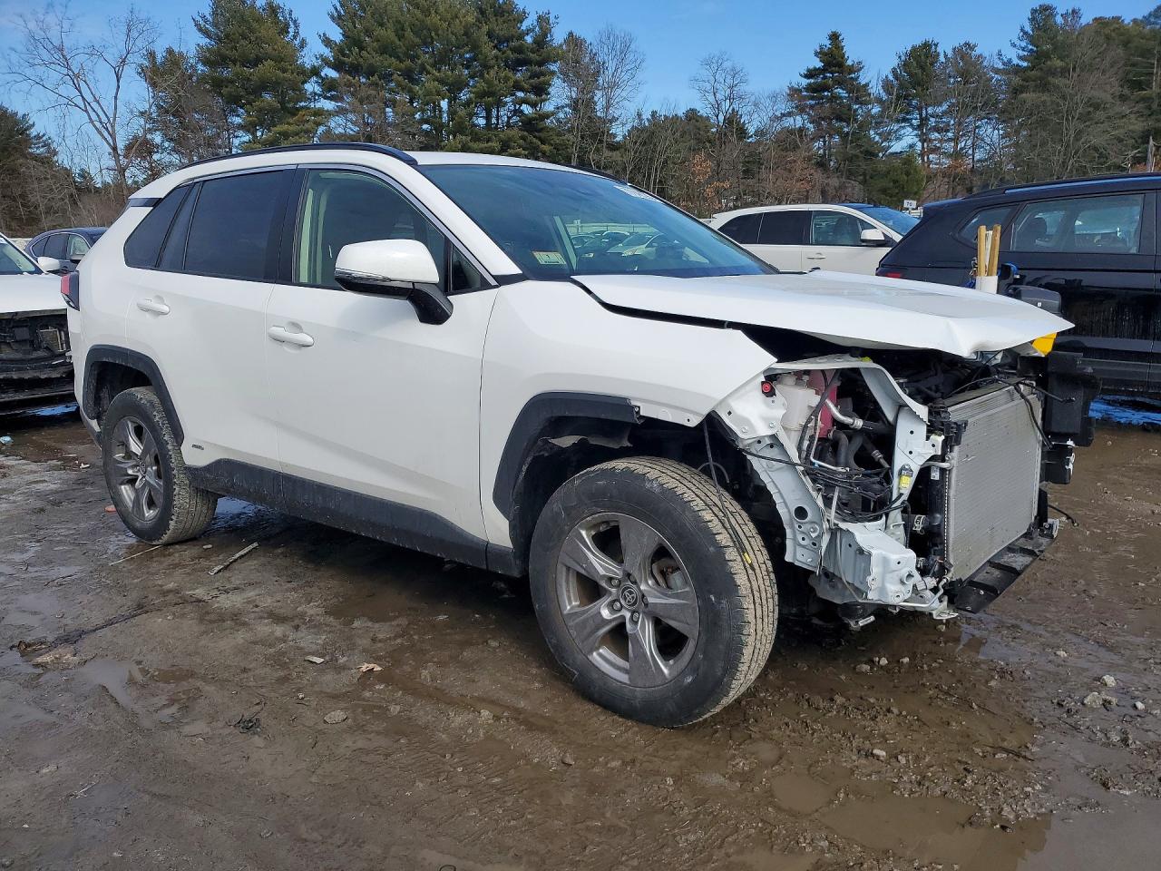 2024 TOYOTA RAV4 XLE photo 4