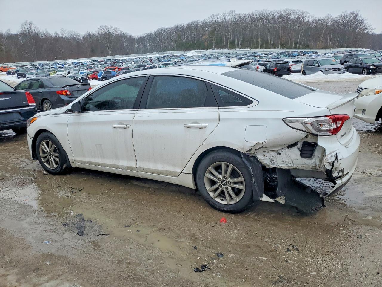2015 HYUNDAI SONATA SE photo 2