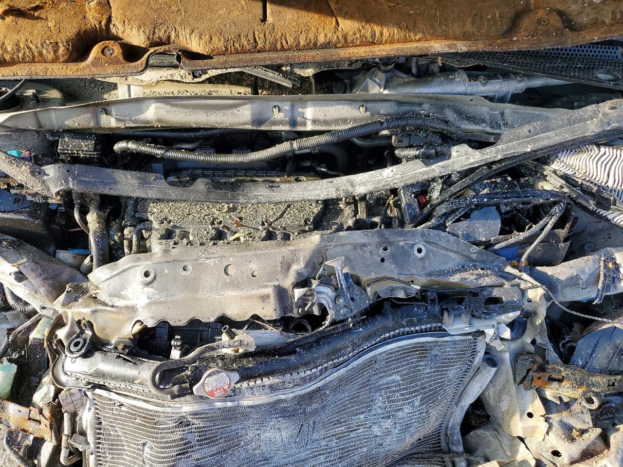 2005 HONDA ODYSSEY EXL photo 12