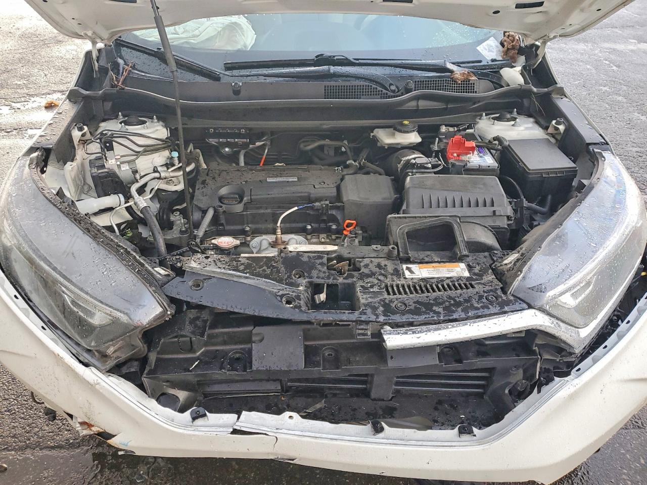 2018 HONDA CR-V LX photo 11