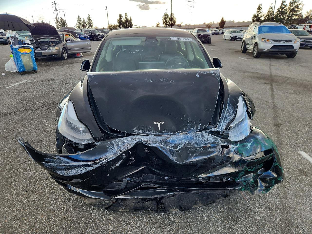 2023 TESLA MODEL 3 photo 5