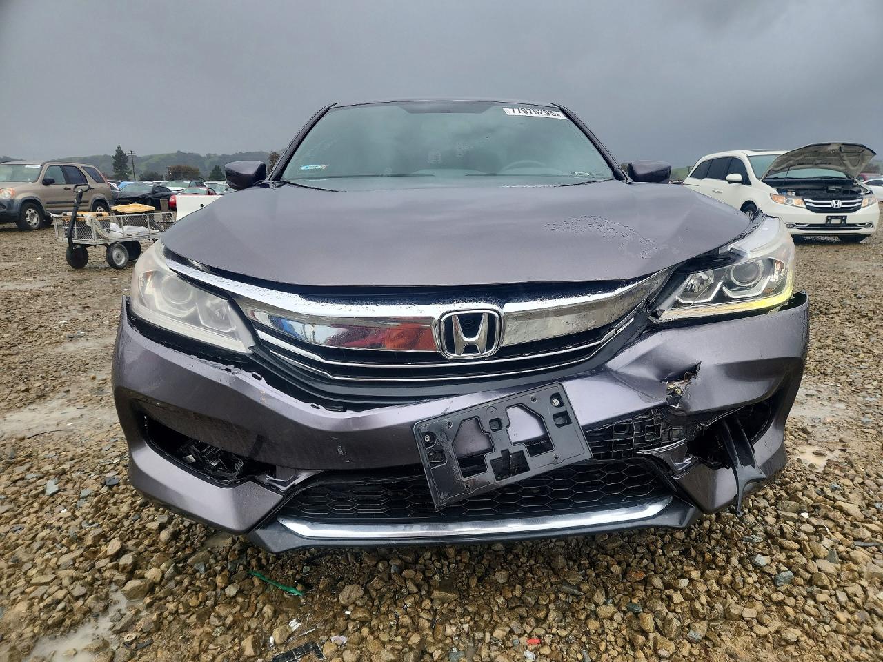 2017 HONDA ACCORD SPORT SPECIAL EDITION photo 5