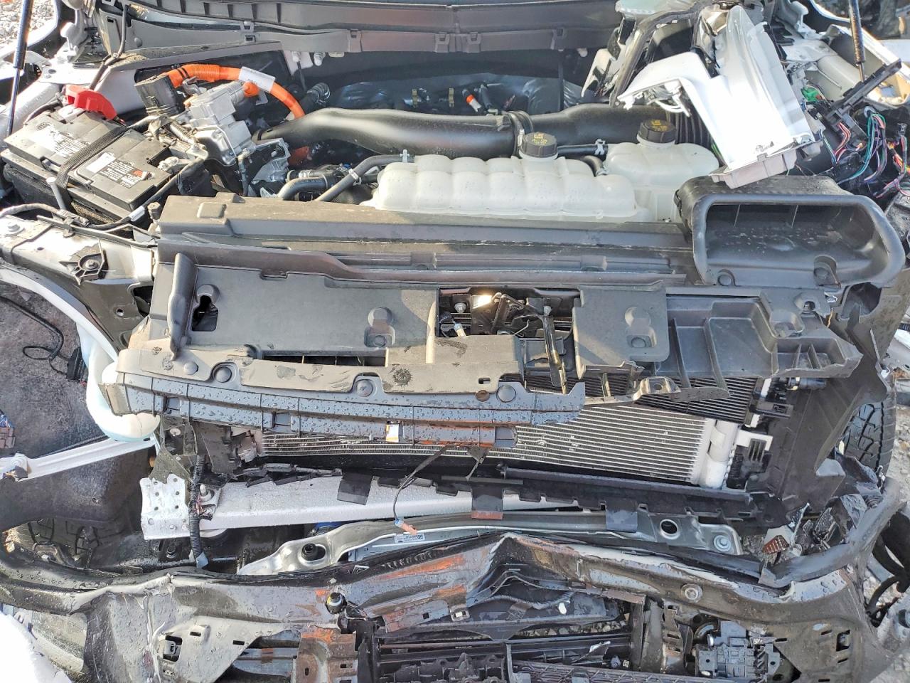 2024 FORD F150 KING RANCH photo 11