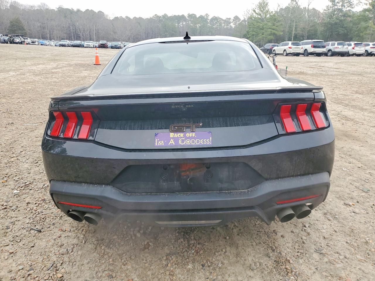 2024 FORD MUSTANG GT photo 11