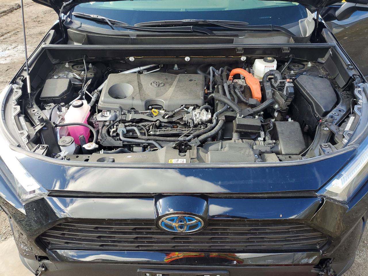 2024 TOYOTA RAV4 XLE photo 23