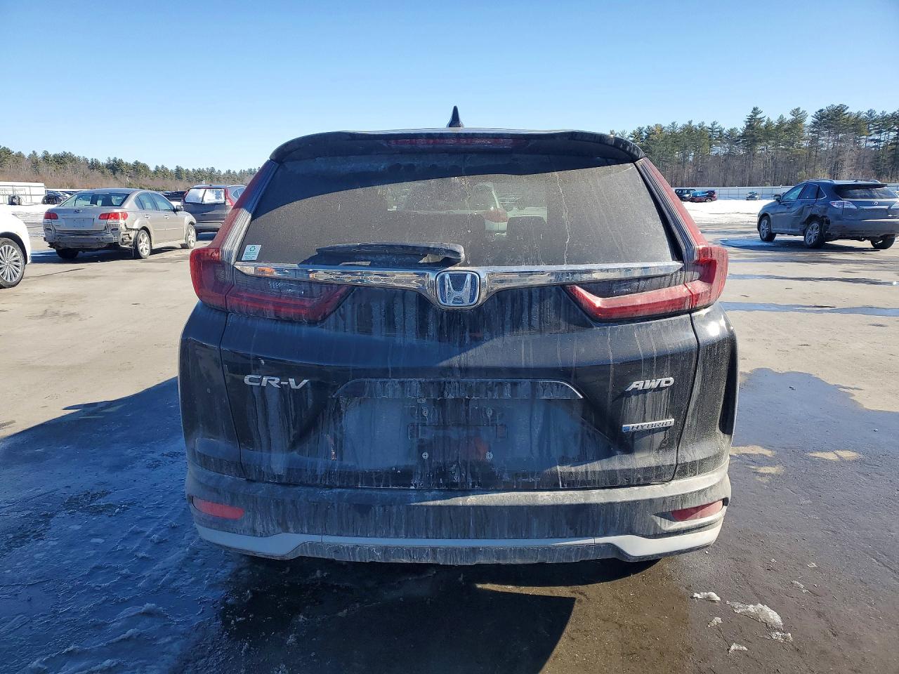 2020 HONDA CR-V EXL photo 6