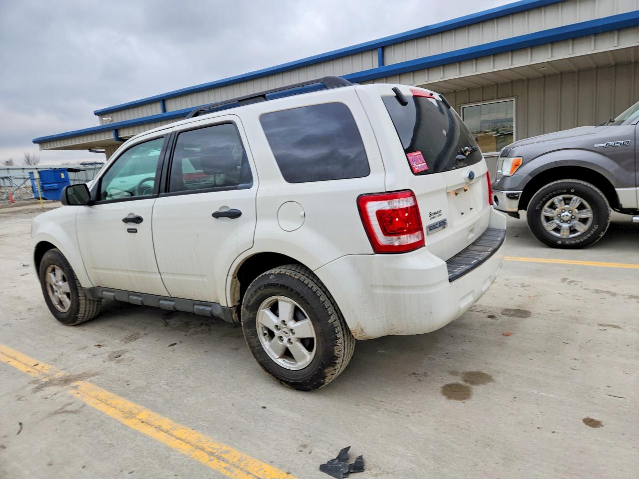 2011 FORD ESCAPE XLT photo 2