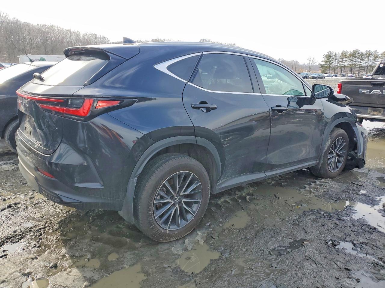 2024 LEXUS NX 350 BASE photo 7
