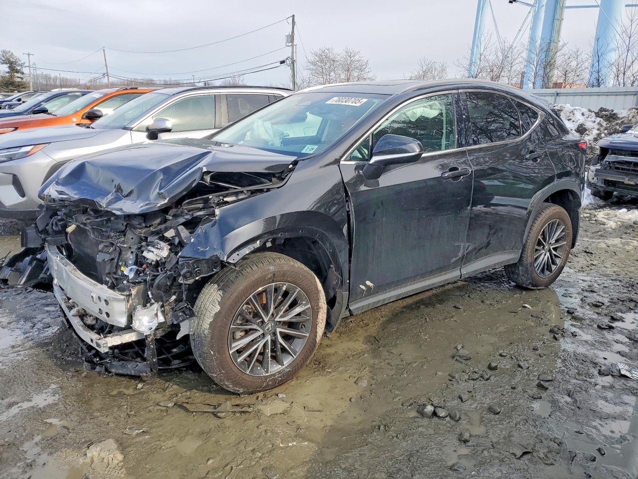2024 LEXUS NX