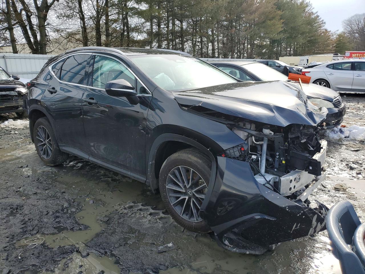 2024 LEXUS NX 350 BASE photo 10