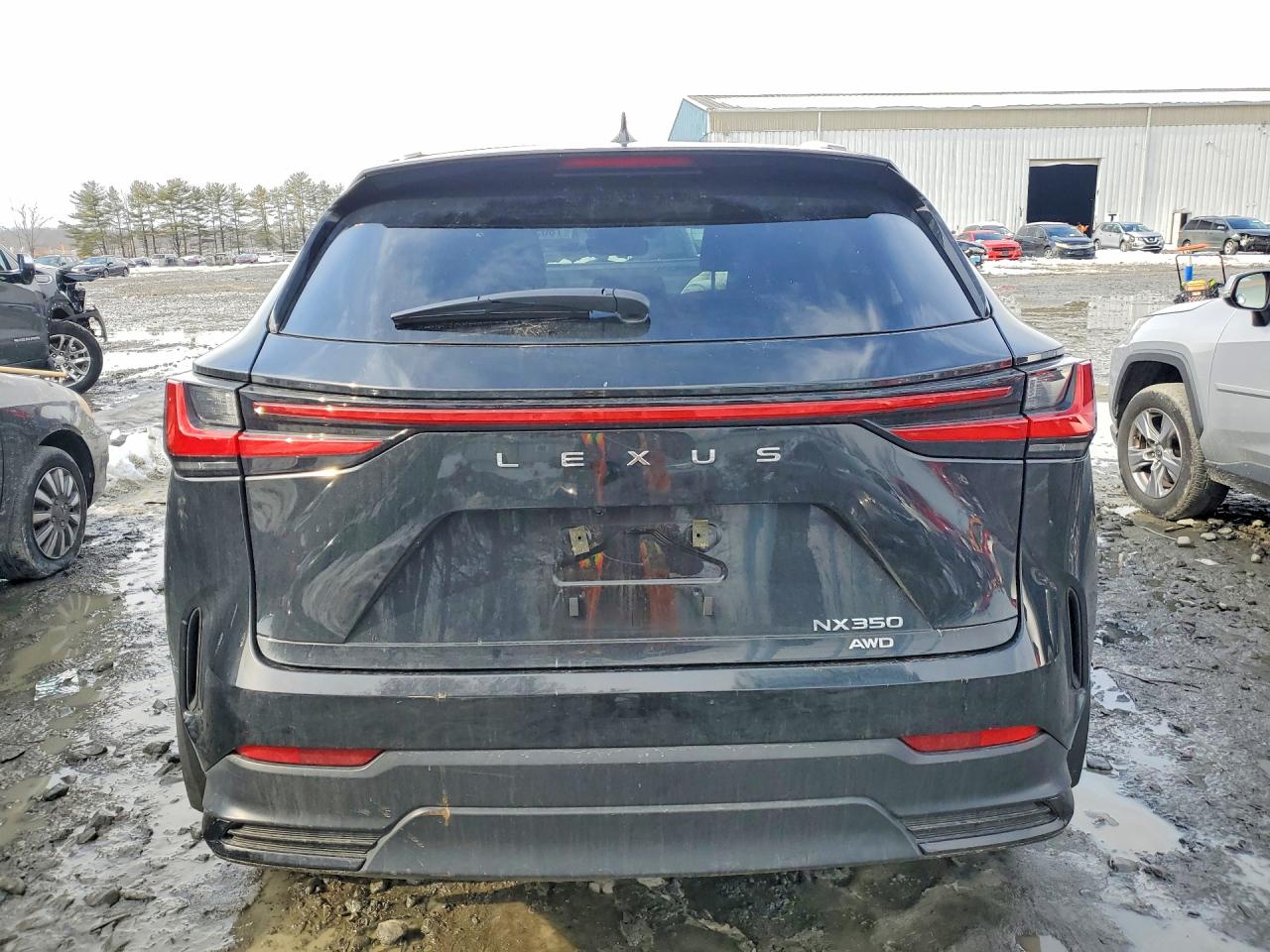 2024 LEXUS NX 350 BASE photo 16