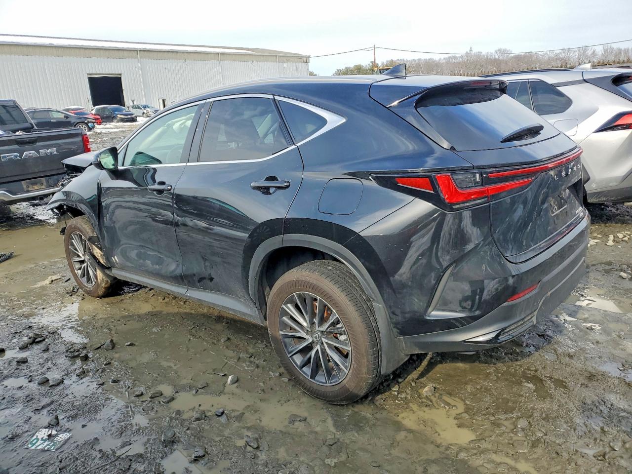 2024 LEXUS NX 350 BASE photo 4