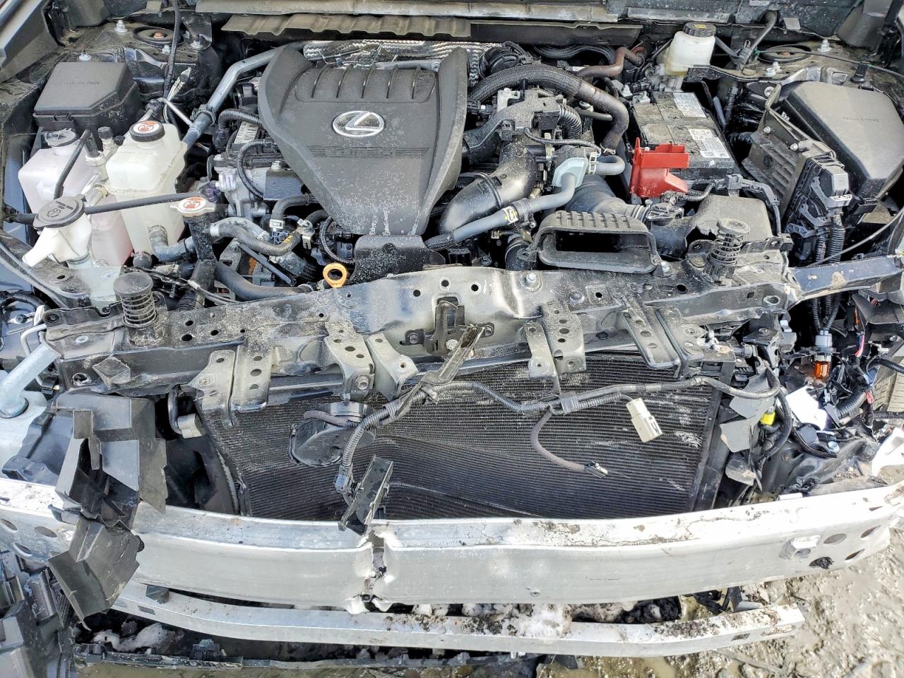 2024 LEXUS NX 350 BASE photo 31