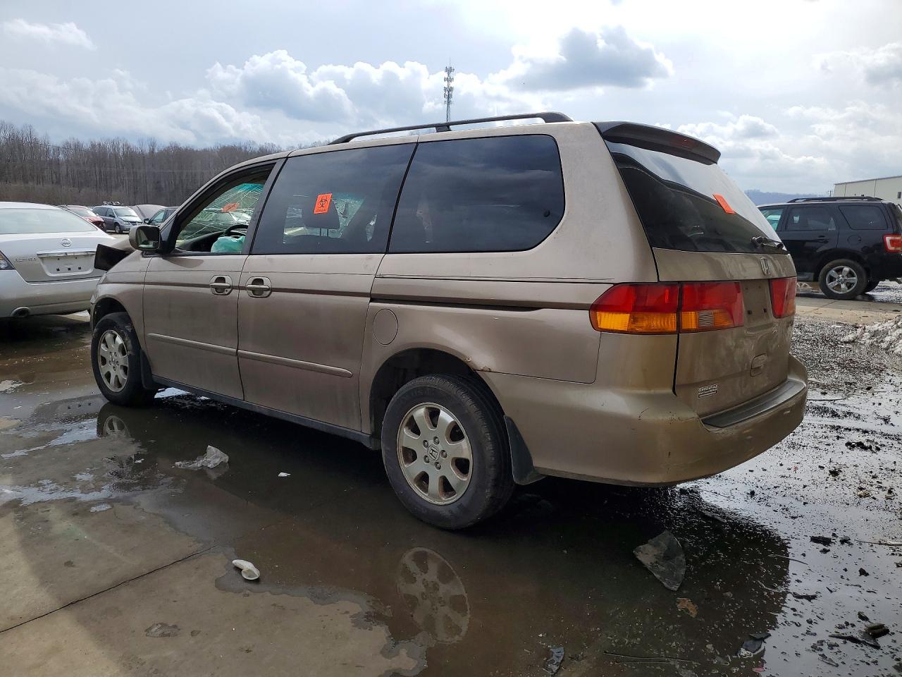 2004 HONDA ODYSSEY EXL photo 4