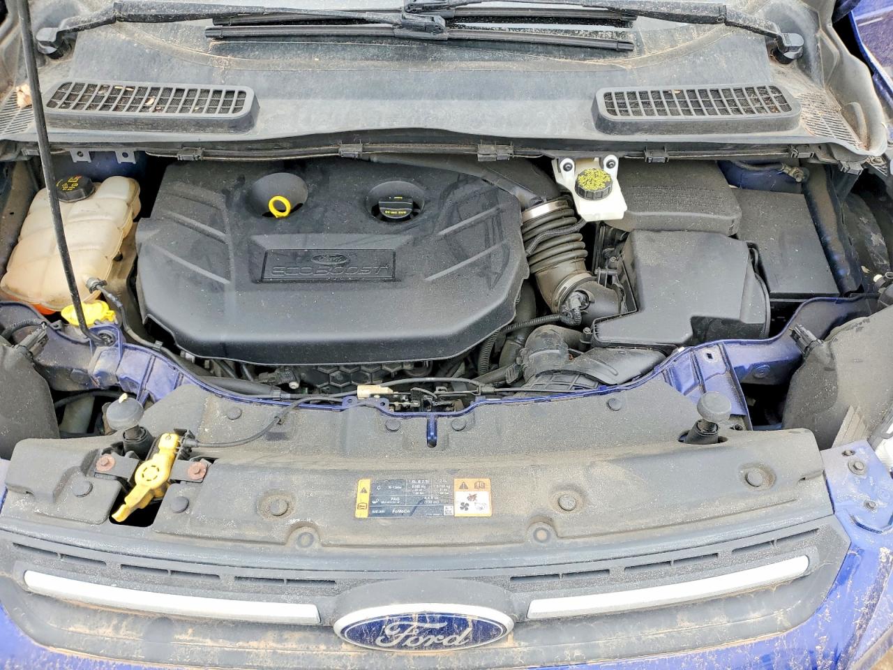 2014 FORD ESCAPE SE photo 12