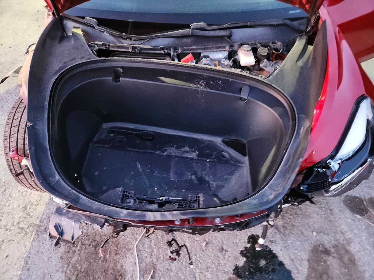 2019 TESLA MODEL 3 photo 11