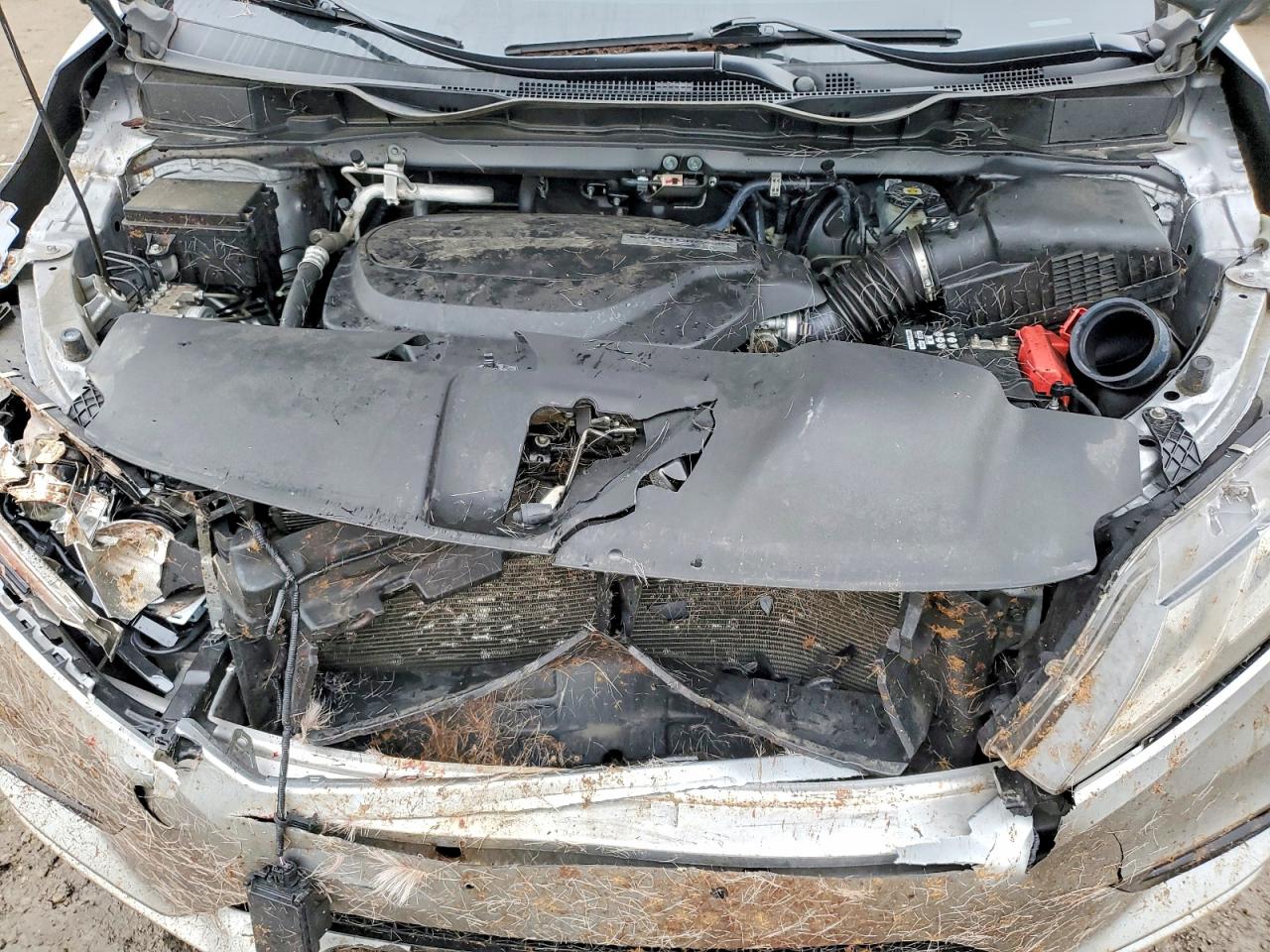 2019 HONDA ODYSSEY EXL photo 12