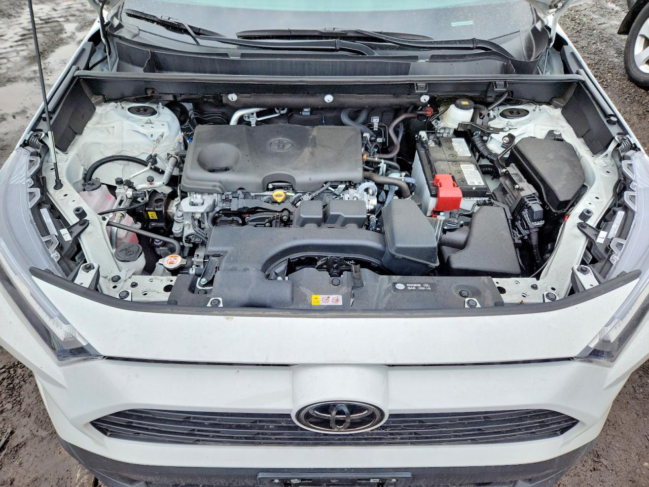 2025 TOYOTA RAV4 LE photo 12