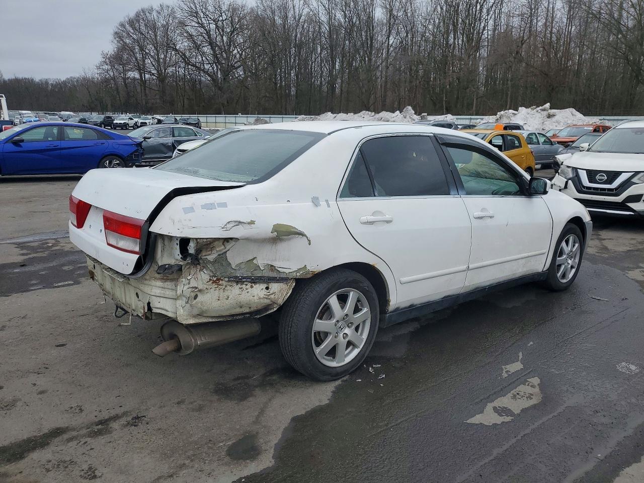2003 HONDA ACCORD LX photo 3