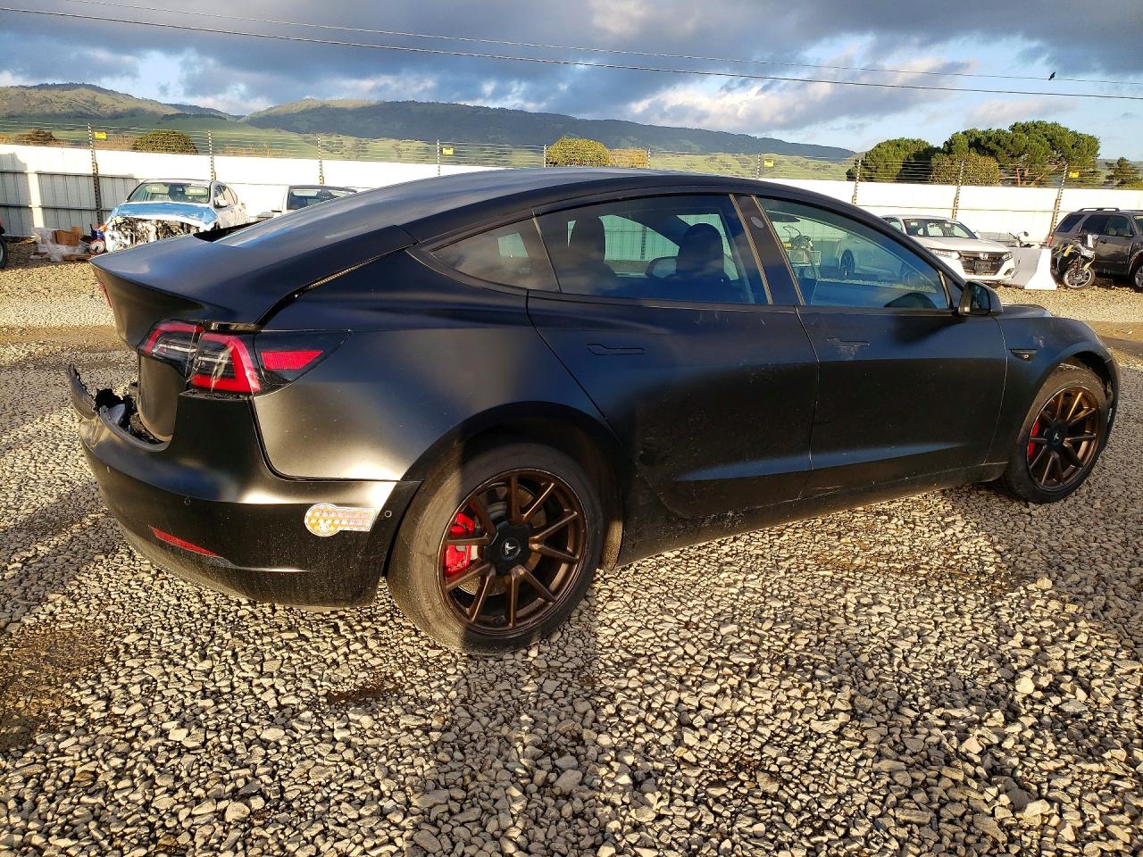 2020 TESLA MODEL 3 photo 3