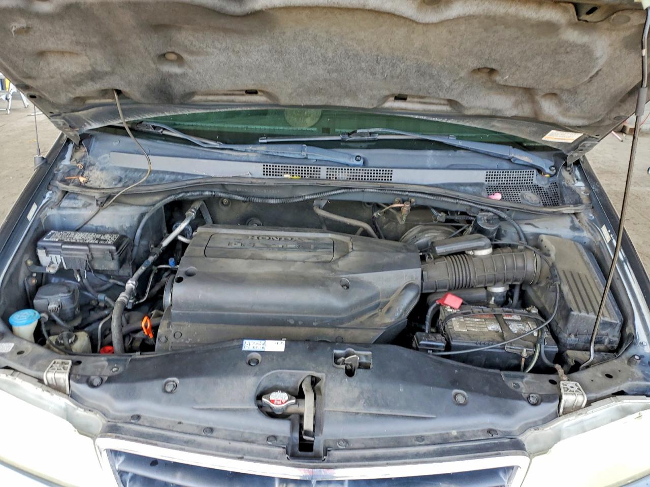 2004 HONDA ODYSSEY EXL photo 12