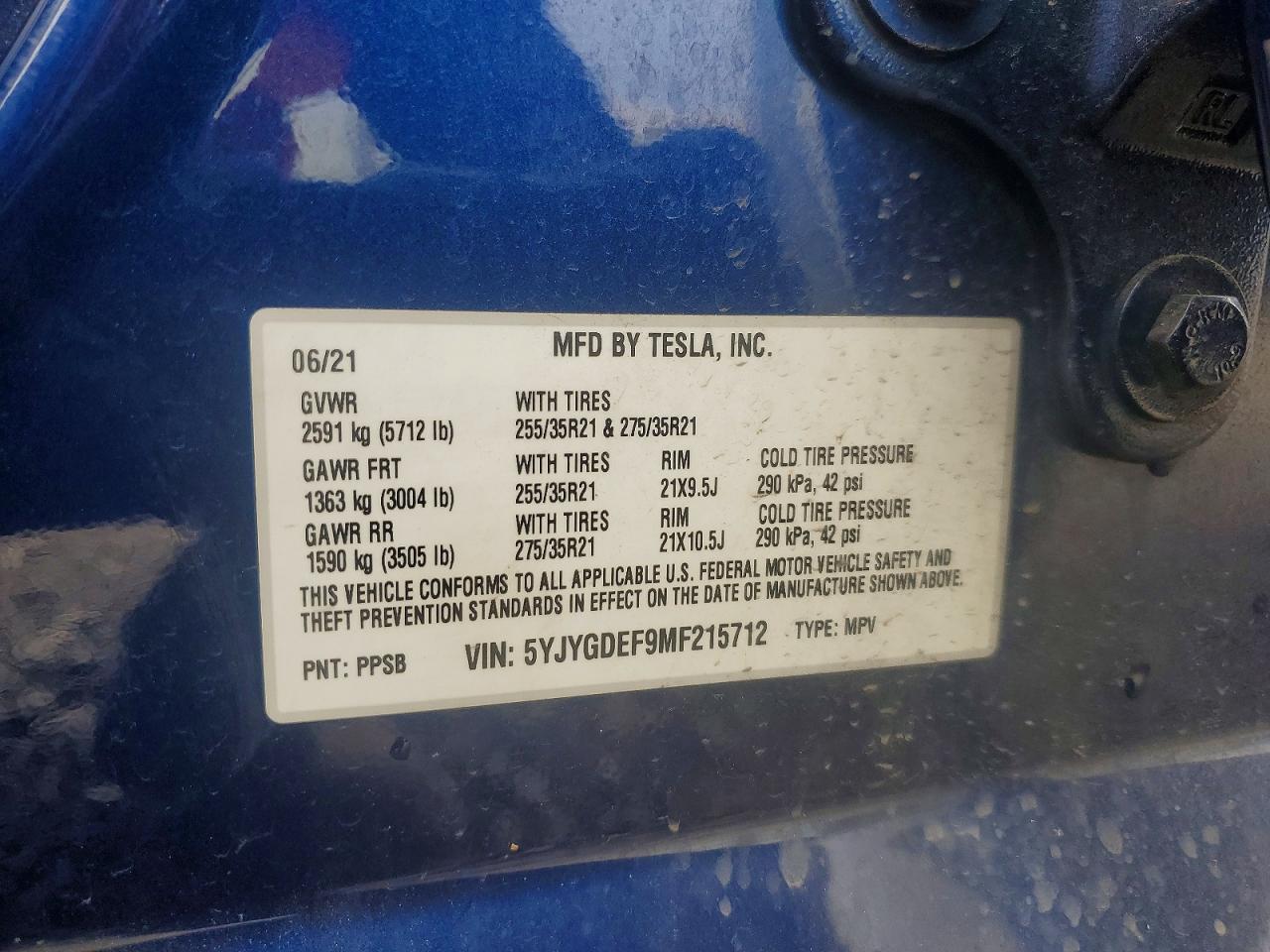 2021 TESLA MODEL Y photo 13