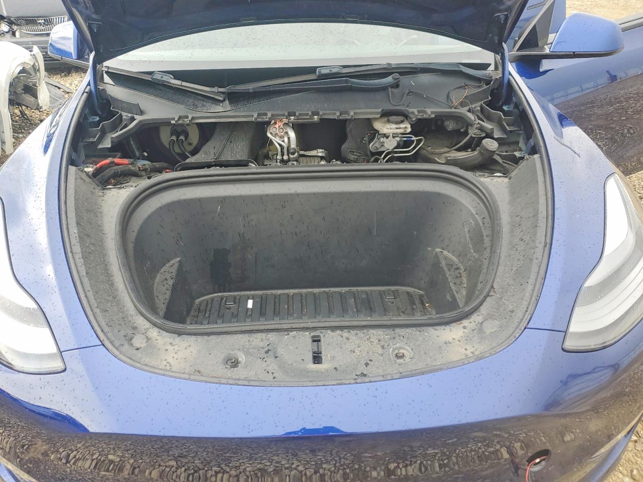 2021 TESLA MODEL Y photo 12