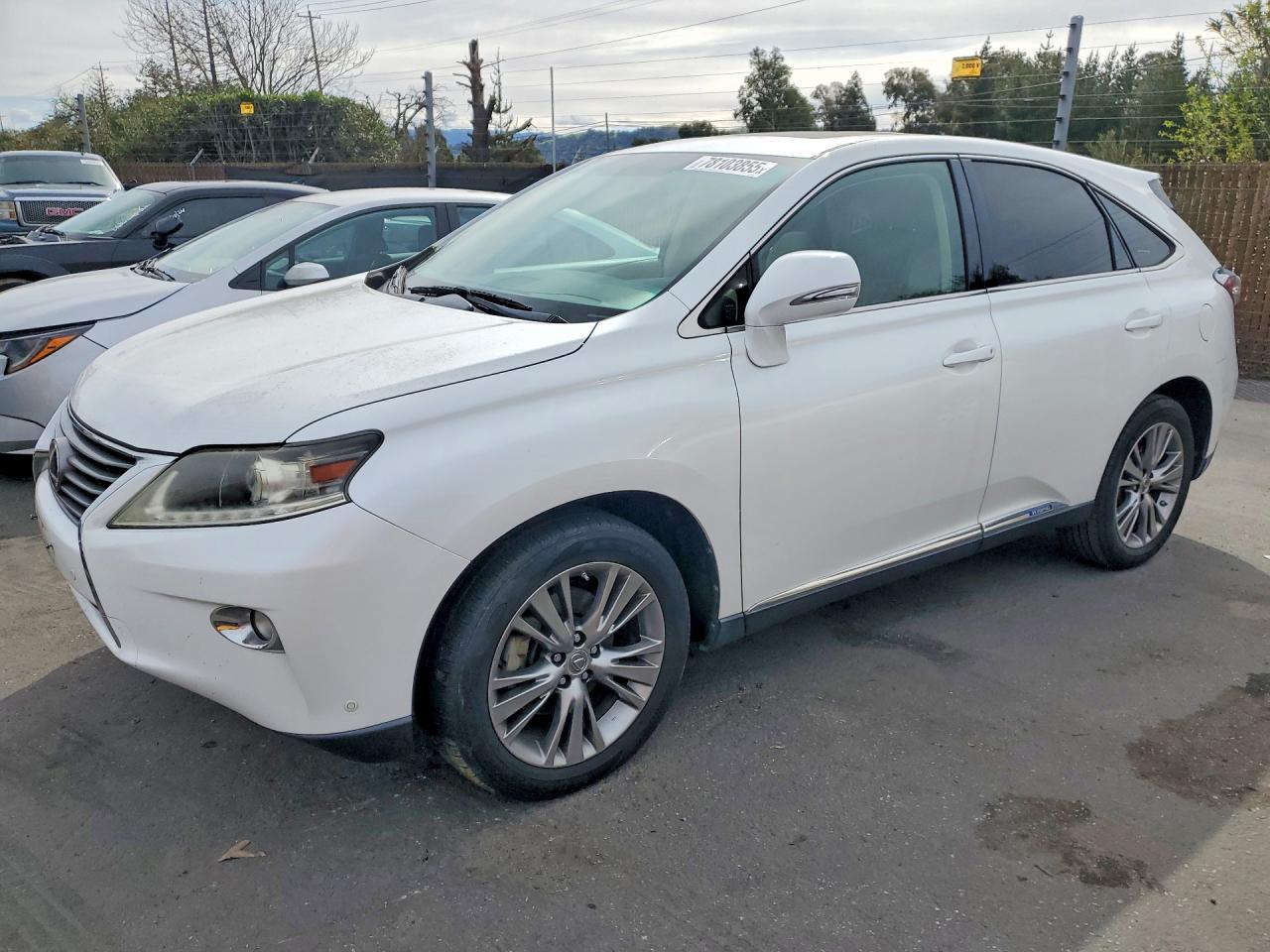 2013 LEXUS RX