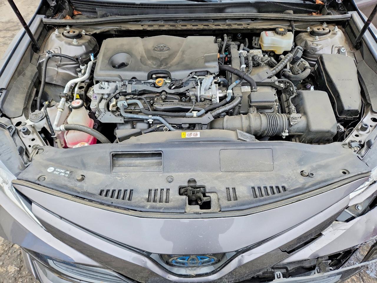 2019 TOYOTA CAMRY LE photo 11