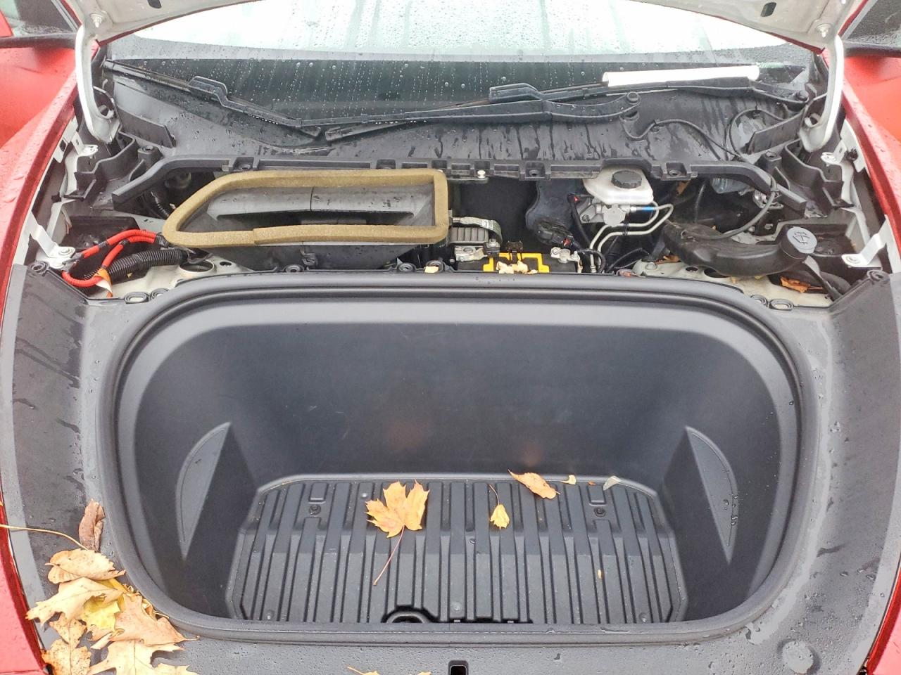 2021 TESLA MODEL Y photo 31