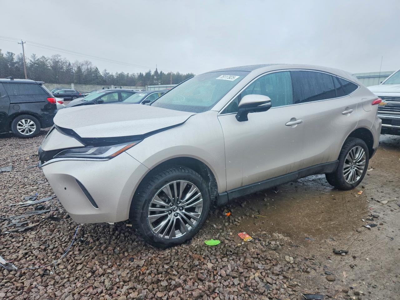 2024 TOYOTA VENZA