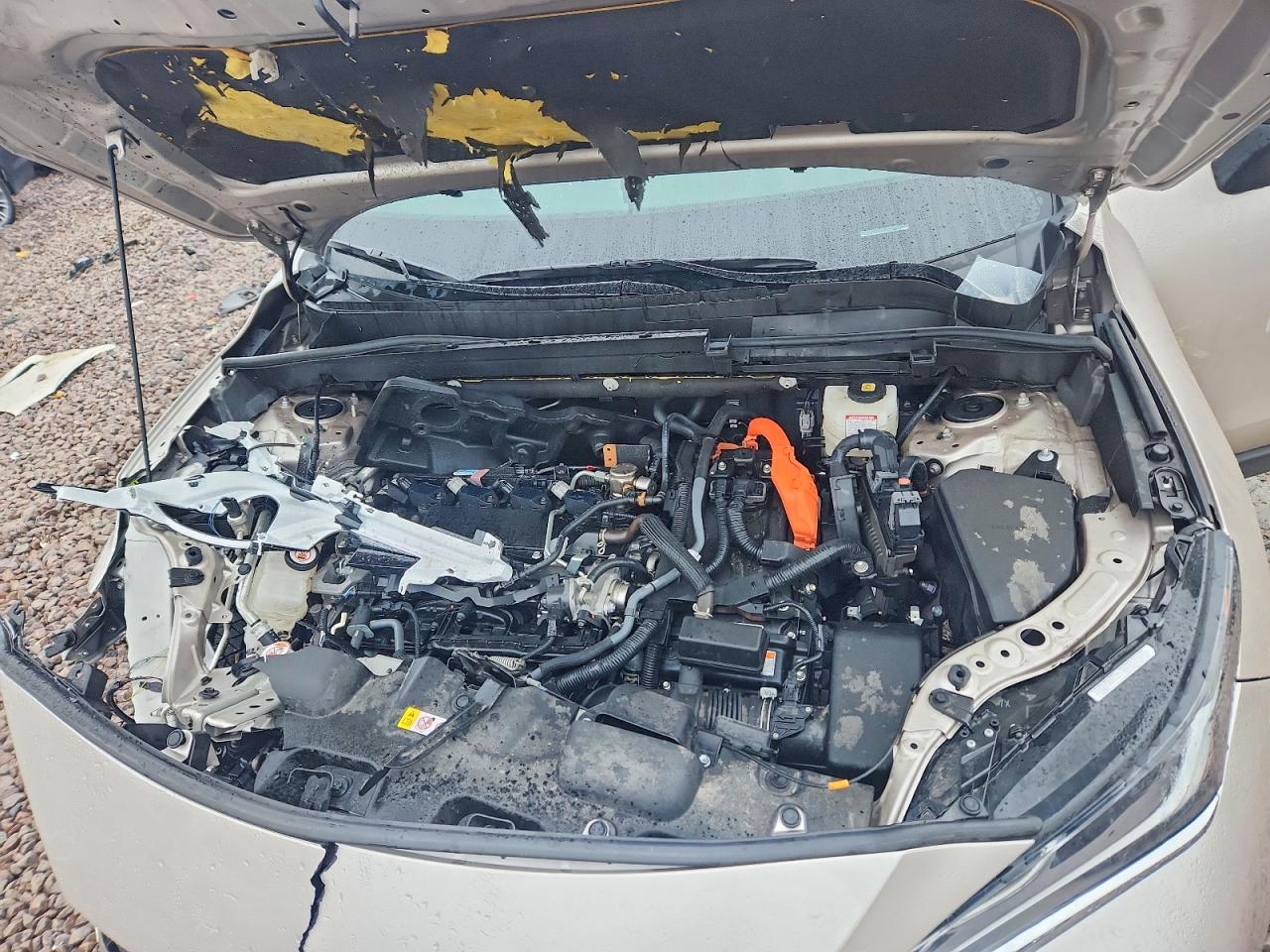 2024 TOYOTA VENZA LIMITED photo 11