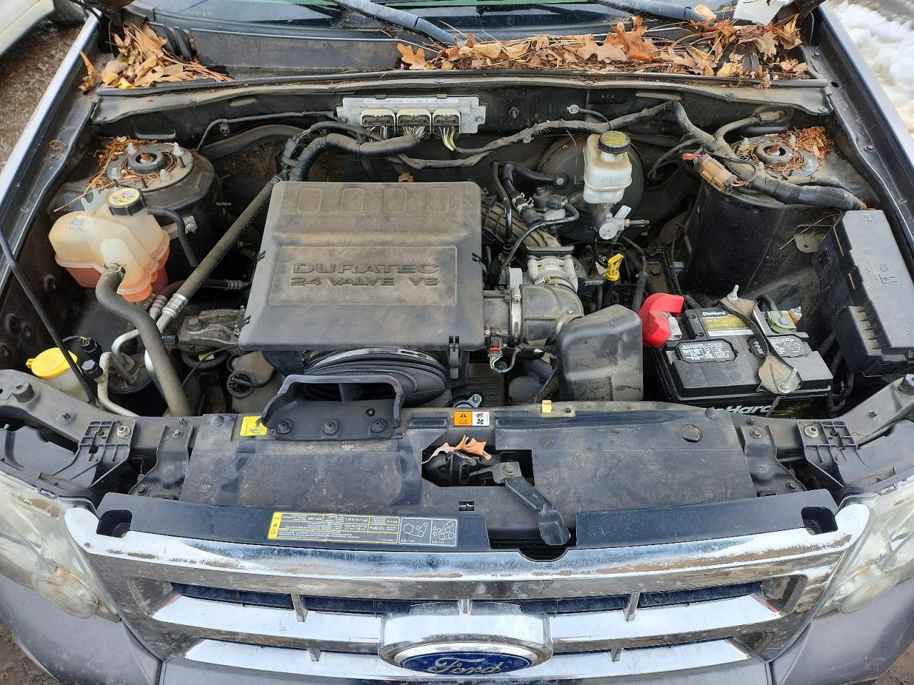 2012 FORD ESCAPE XLT photo 12