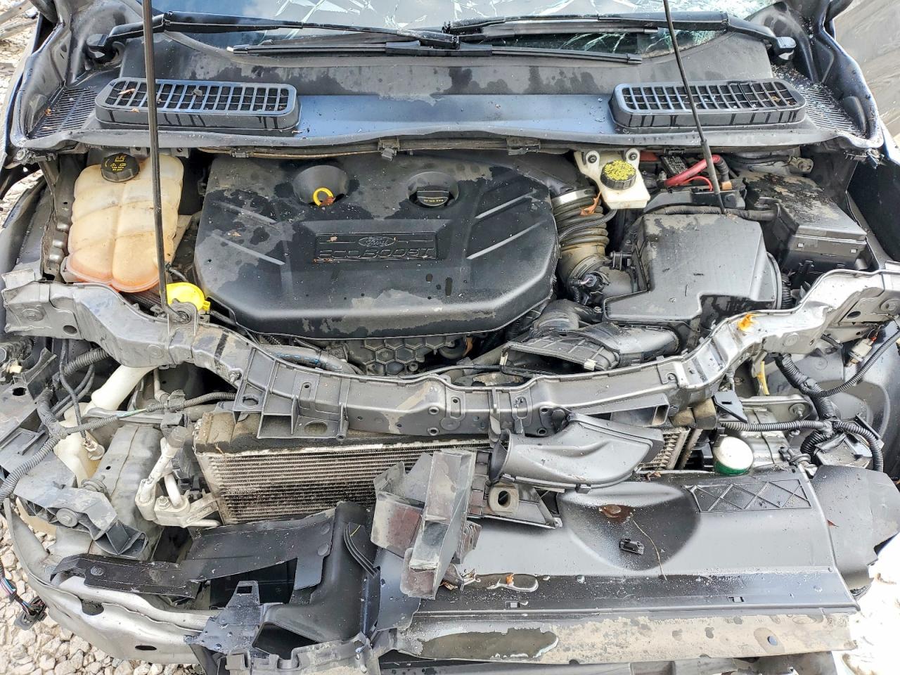 2014 FORD ESCAPE TITANIUM photo 23