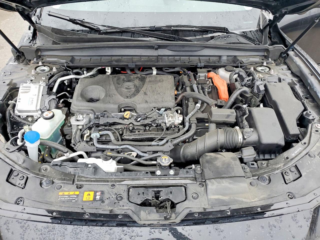 2025 MAZDA CX-50 PREFERRED photo 12