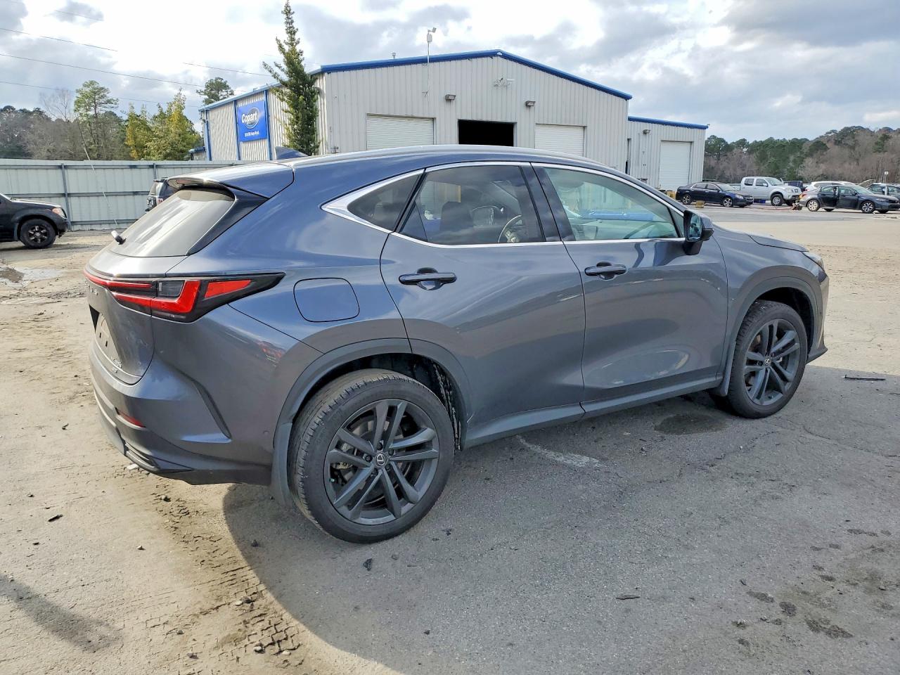 2024 LEXUS NX 450H LUXURY photo 3
