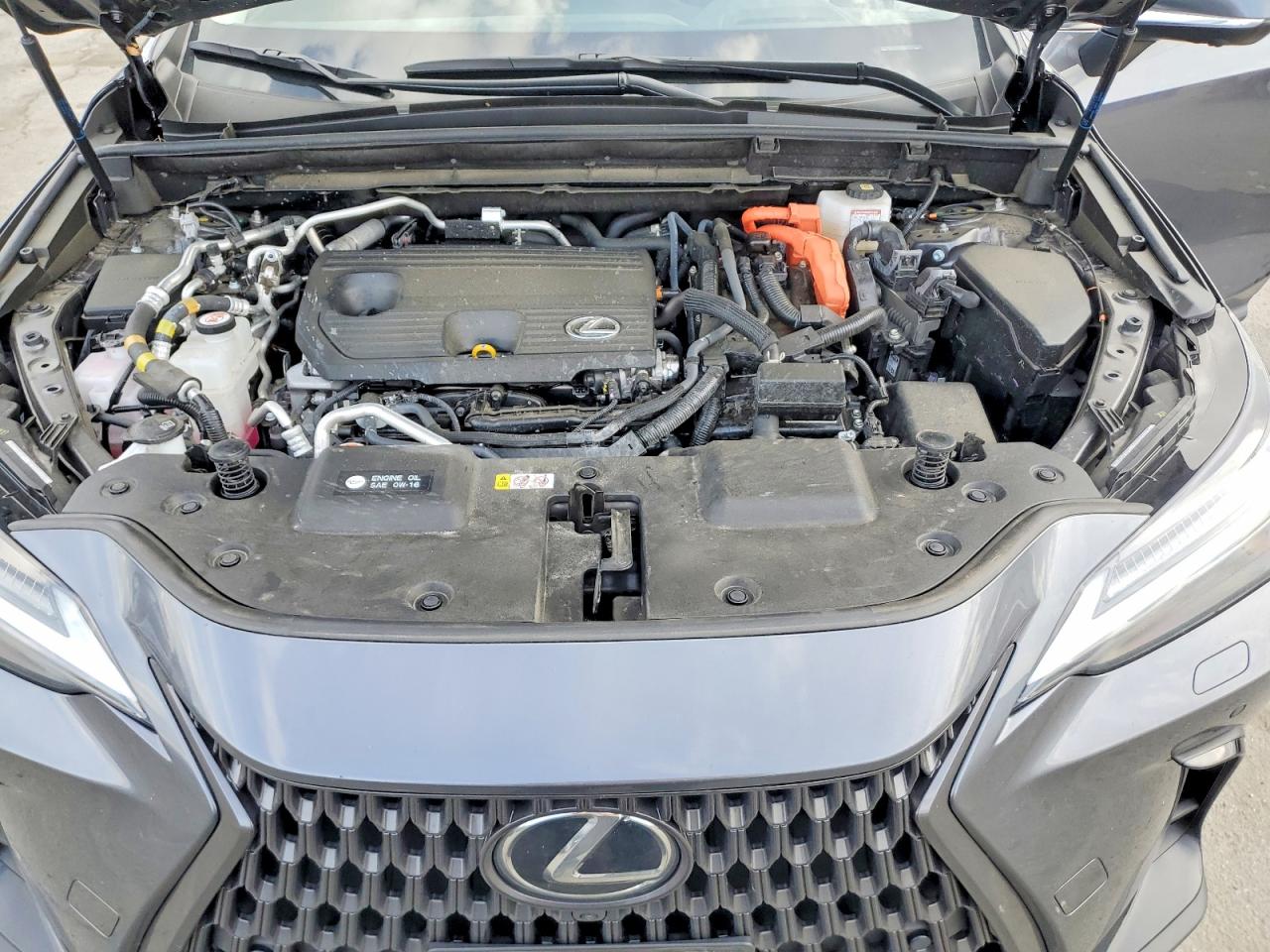 2024 LEXUS NX 450H LUXURY photo 12