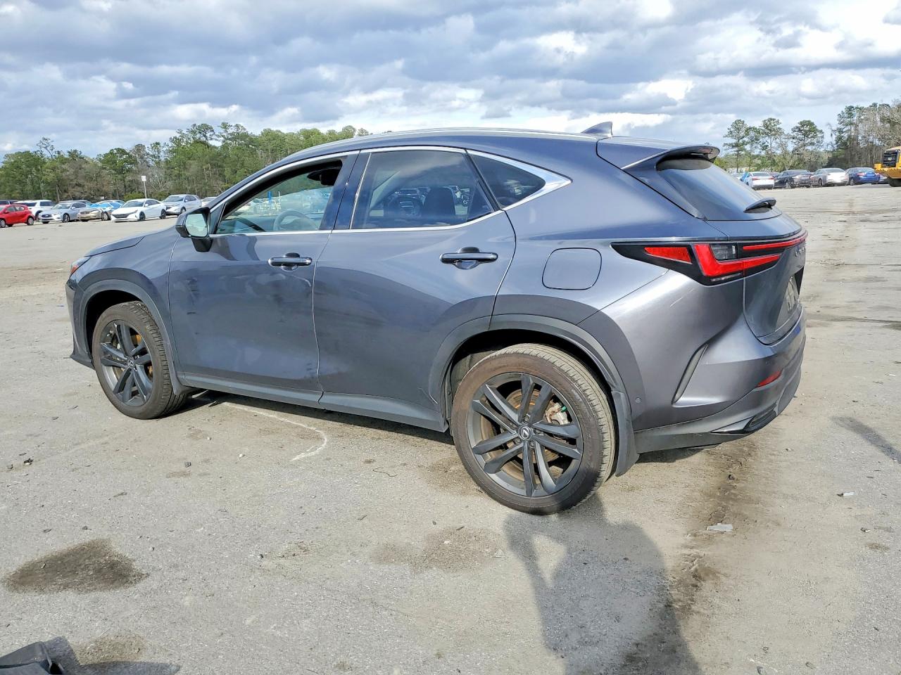 2024 LEXUS NX 450H LUXURY photo 2