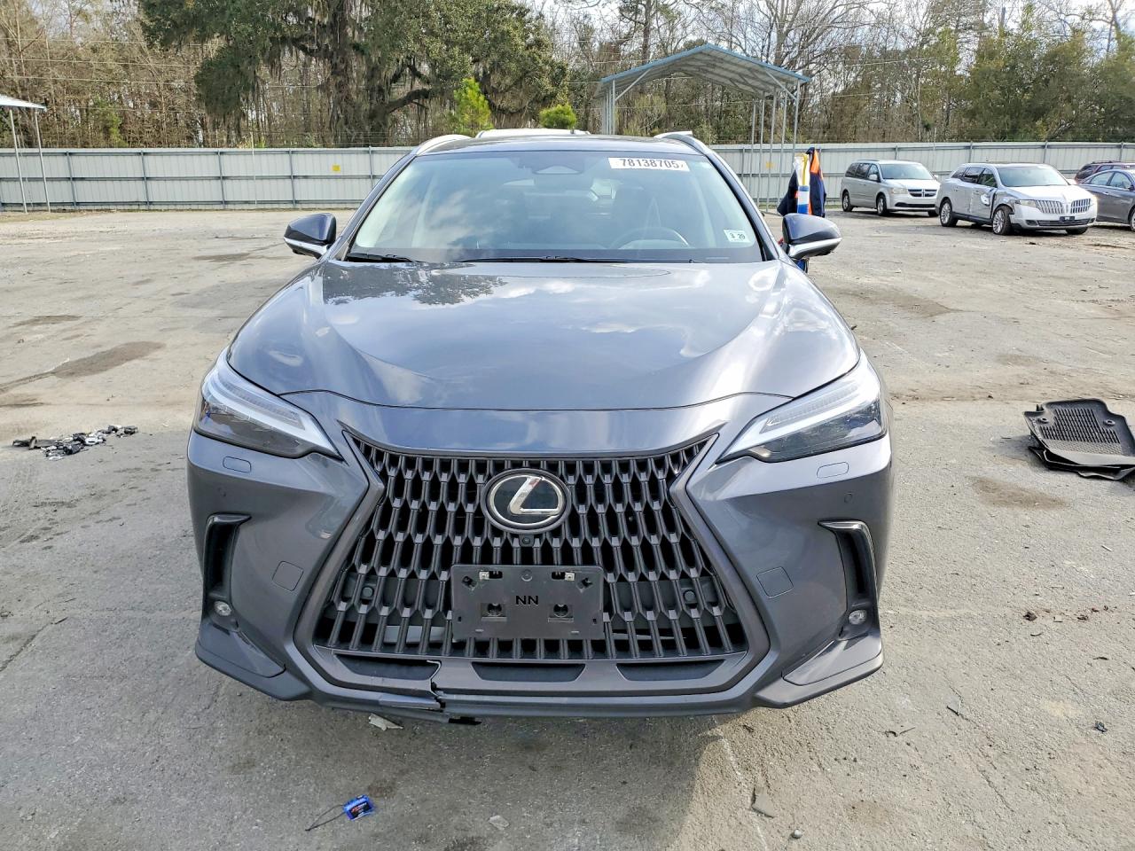 2024 LEXUS NX 450H LUXURY photo 5