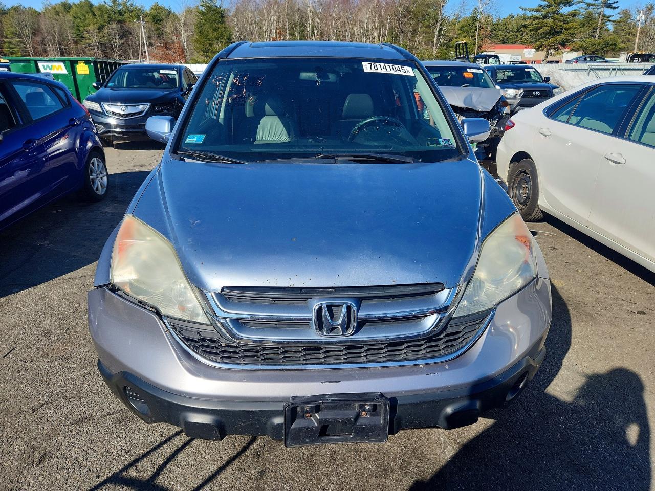 2010 HONDA CR-V EXL photo 9